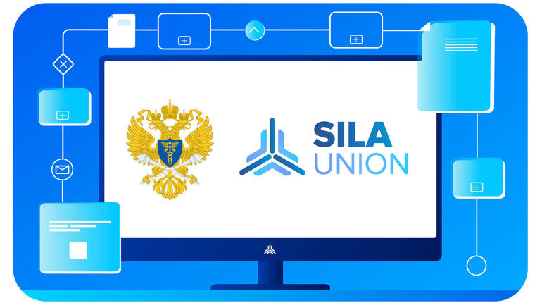 Implementation of the process portal of the Accounts Chamber of the RF based on SILA Union